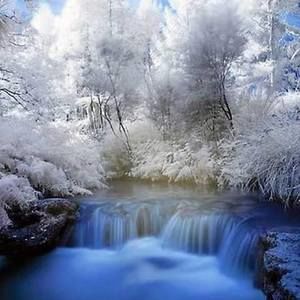 Meet your Posher, Danette